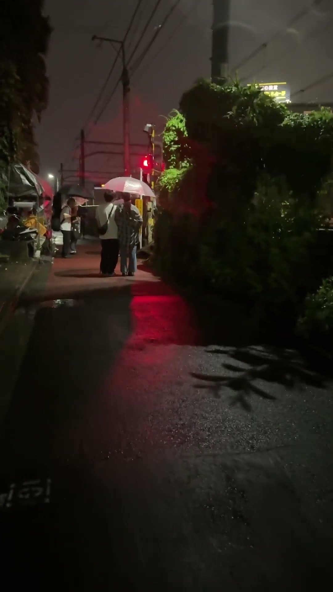 Tokyo nights